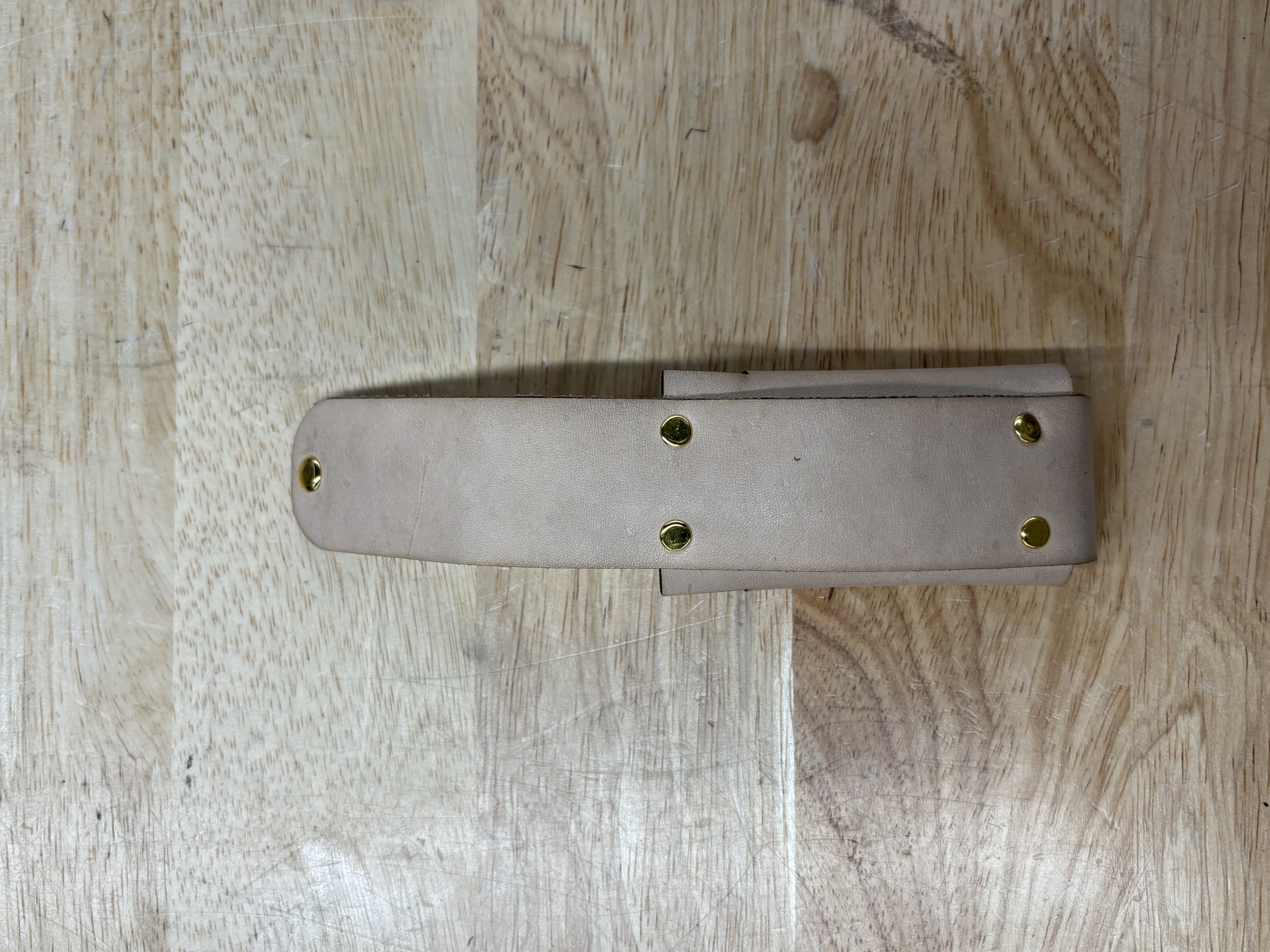 Sheath V1 Back